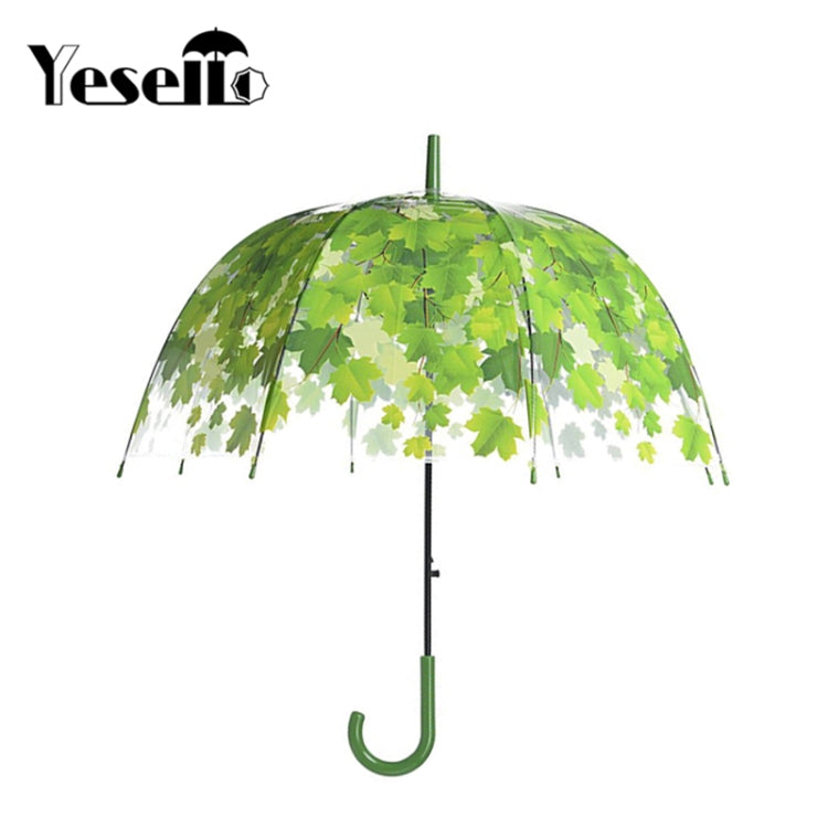 Green Leaf Transparent Umbrella Straight Rod Crooked Umbrella