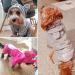 Haustierkostüm aus Korallenfleece, niedliches Chinchilla-Hundekostüm, warmer Mantel, XS, S, M, L, XL, 2XL