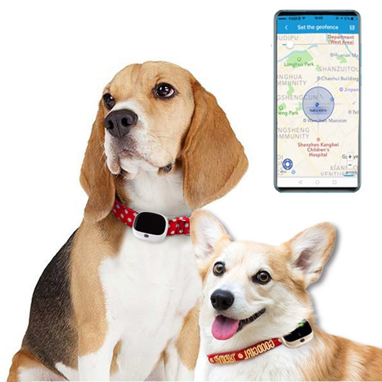 RF-V43 A Style IP67 Waterproof GPS + LBS + WiFi Pet Locator Pet Collar Tracking Device For Asia/Europe/Africa/Australia, RF-V43 A Style (Black), RF-V43 A Style (White)