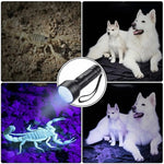 51 LEDs 395nm UV LED Flashlight, Support Detect Pet Urine