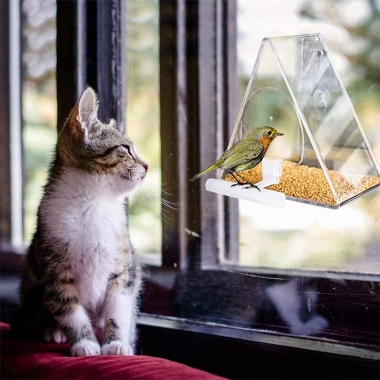 Acrylic Bird Cage Transparent Pet Box Triangle Bird Feeder - Trustpick