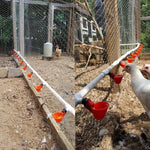 Adjustable Vreeding Equipment Export Type Drinking Bowl Poultry Drinker - Trustpick