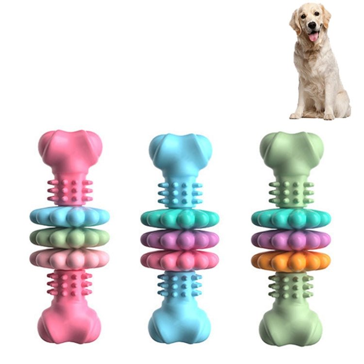 BG5056 TPR Pet Chewing Toys Bone Shape Dog Teething Stick - Trustpick