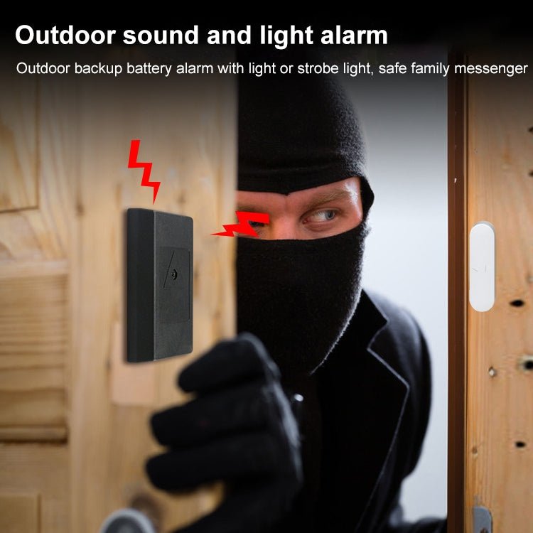 Burglary Alarm Master Panel Alike Paradox Alarm System (PA - 950) - Trustpick