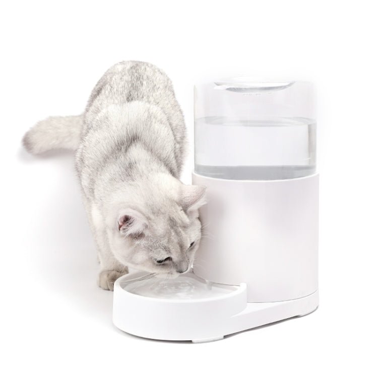 Cat Automatic Water Dispenser Drinking Water Bowl Dog Feeder - Trustpick