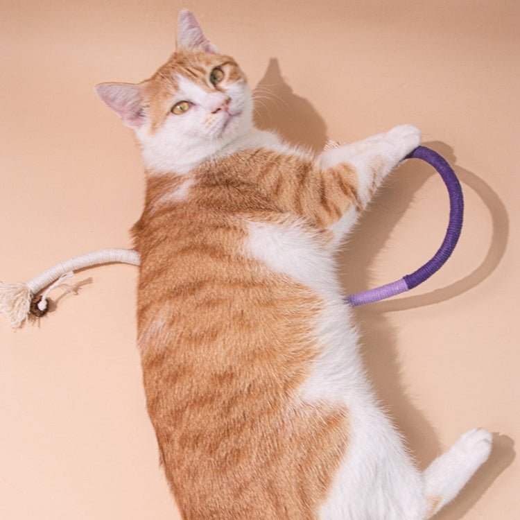 Cat Bite Rope Toy Catnip Cat Teasing Stick - Trustpick
