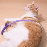 Cat Bite Rope Toy Catnip Cat Teasing Stick - Trustpick
