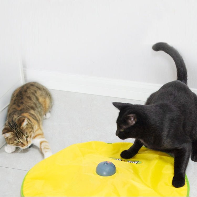 Cat Playing Board Electric Cat Turntable Automatic Cat Toy - Trustpick