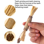 Cat Teething Stick Toy Teeth Cleaning Catnip Teasing Stick - Trustpick