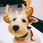Christmas Pet Accessories Dog Hairpin Cat Ornament Christmas Antler Headband - Trustpick