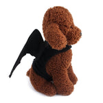 Creative Cat Dog Halloween Bat Wings Funny Props Pet Clothes - Trustpick