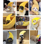 Creative Turned Funny Pet Cat Teddy Festival Funny Banana Headgear - Trustpick