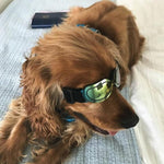 Dog Glasses Sunglasses Pet Glasses - Trustpick