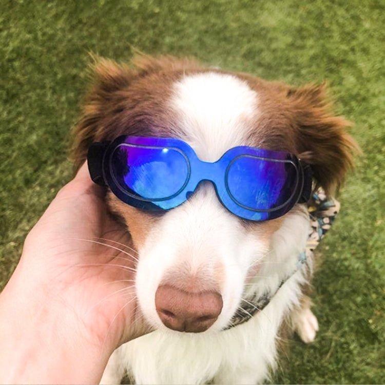 Dog Glasses Sunglasses Pet Glasses - Trustpick