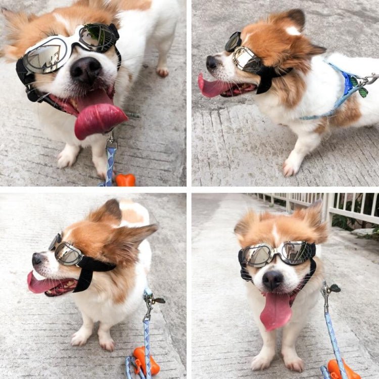 Dog Glasses Sunglasses Pet Glasses - Trustpick