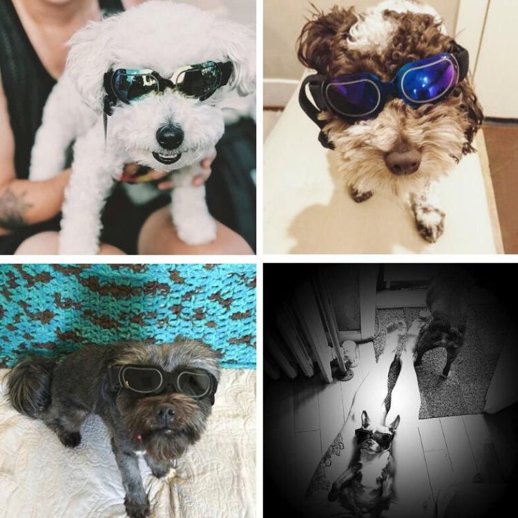 Dog Glasses Sunglasses Pet Glasses - Trustpick