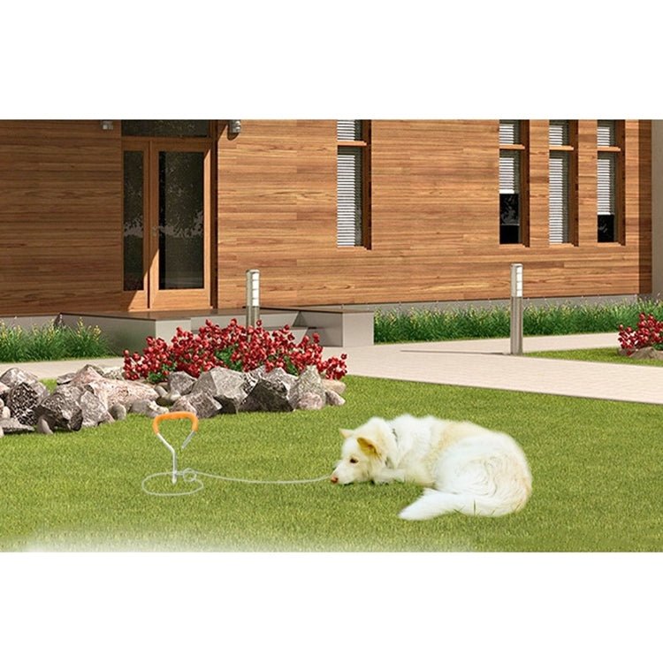 Dog Pile Fixation Spiral Nail with Handle For Medium Small Dog Long Training Outdoor, Size: 45cm*9mm - Trustpick