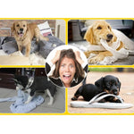 Dog Toy for Pets Tooth Cleaning Chewing Dumbbells Shape Toys of Non - Toxic Soft Rubber , Large Size,Length:15cm - Trustpick