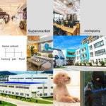 DP16 2.0 Megapixel 42 LEDs Garden Light Smart Camera, Support Motion Detection / Night Vision / Voice Intercom / TF Card, AU Plug - Trustpick