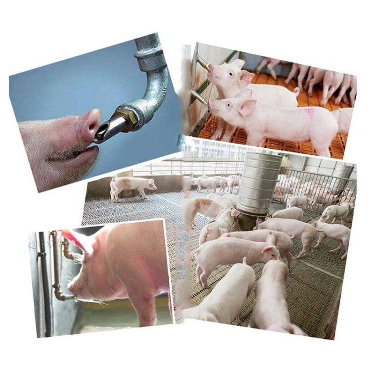 Duckbill Drinking Fountain Stainless Steel with Copper Cap Oblique Pig Mouth Livestock Machinery Pig Raising Equipment - Trustpick