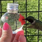 Hanging Bird Feeder Outdoor Hummingbird Feeder - Trustpick