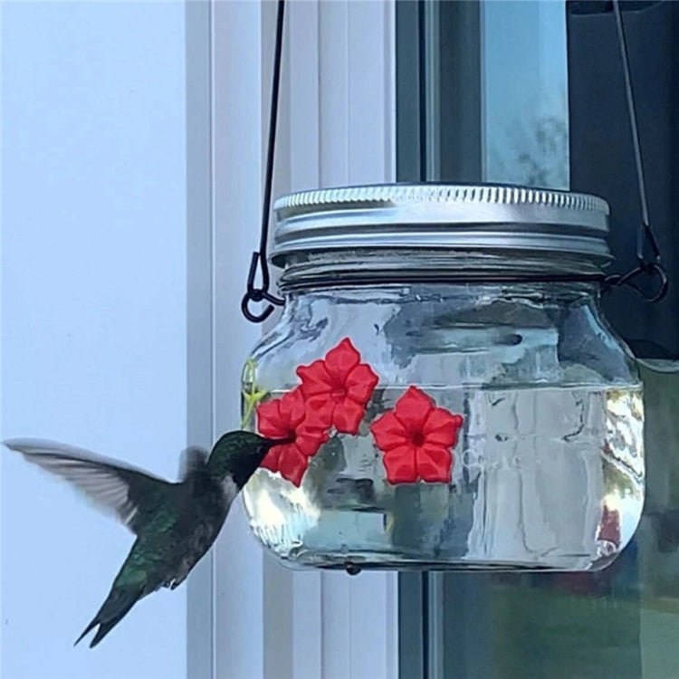 Hanging Bird Feeder Outdoor Hummingbird Feeder - Trustpick