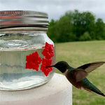 Hanging Bird Feeder Outdoor Hummingbird Feeder - Trustpick
