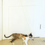 Hanging Door Retractable Cat Teaser Stick Pet Toy - Trustpick