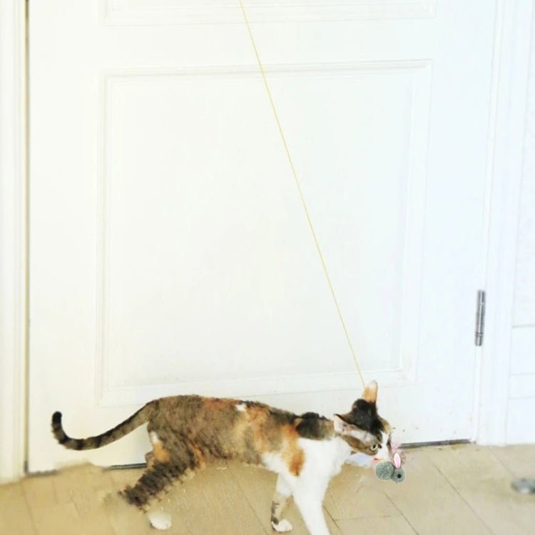 Hanging Door Retractable Cat Teaser Stick Pet Toy - Trustpick