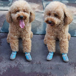HCPET A1703 Pet Non - Slip Wear - Resistant Shoes Puppy Feet Cover - Trustpick