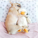 Hoopet Dog Biting Toy Pet Plush Duckling Sound Toy - Trustpick