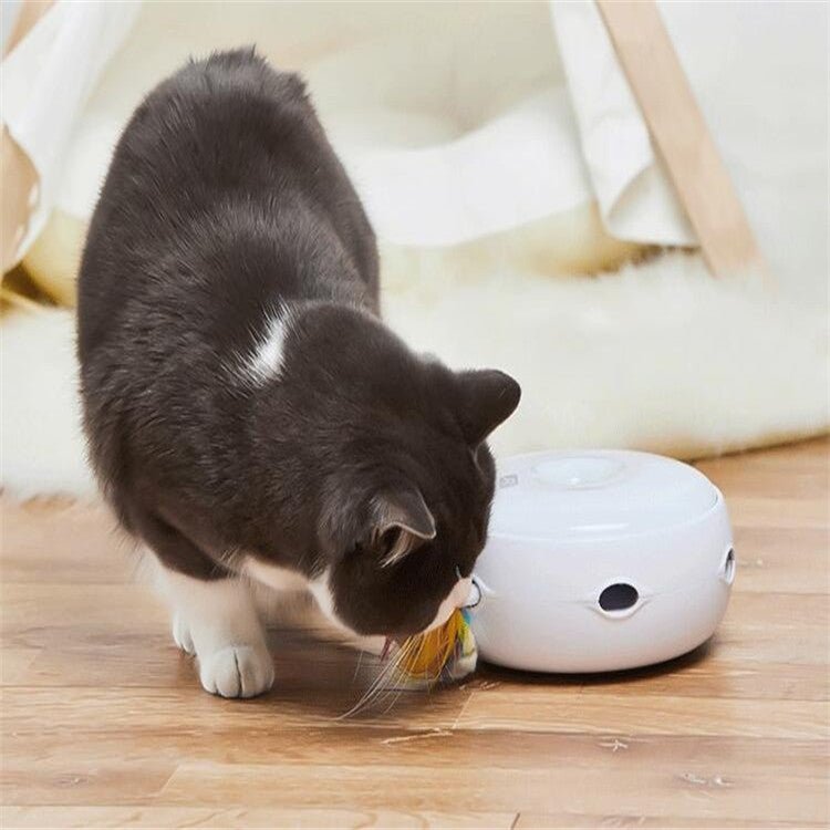 Intelligent Electric Funny Cat Stick Funny Cat Toy Electric Rotating Turntable Funny Cat Device - Trustpick