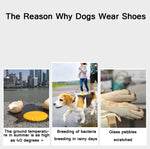 JML Pet Sports Shoes Non - Slip Wear - Resistant Comfortable Breathable Dog Shoes - Trustpick