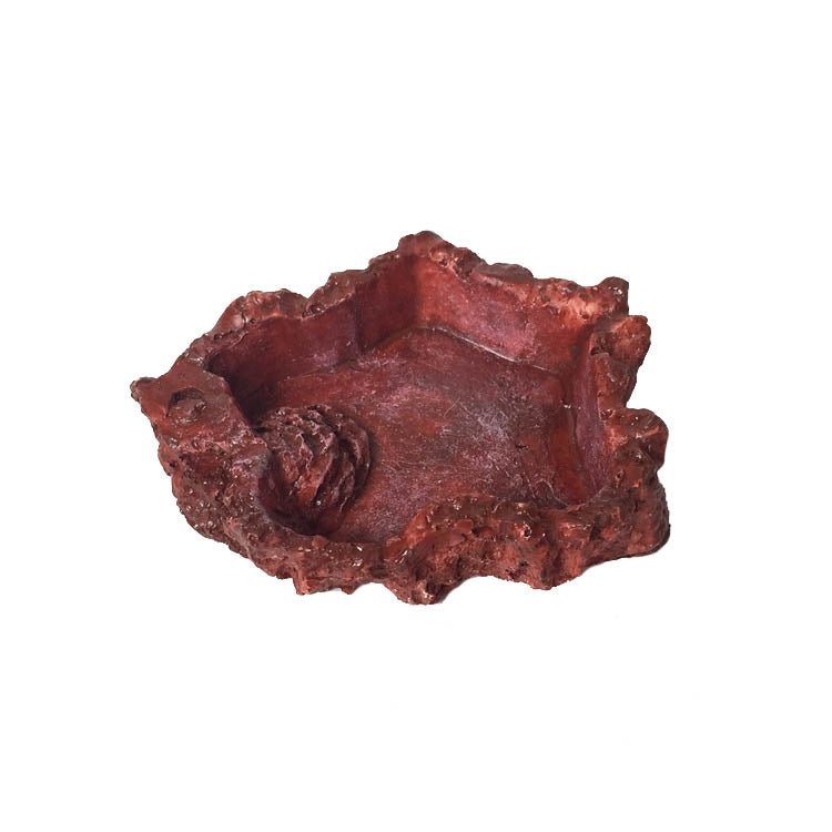 Little Red Food Bowl Reptile Water Food Basin Turtle Lizard Snake Water Basin - Trustpick