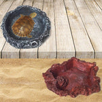 Little Red Food Bowl Reptile Water Food Basin Turtle Lizard Snake Water Basin - Trustpick