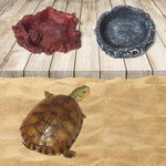 Little Red Food Bowl Reptile Water Food Basin Turtle Lizard Snake Water Basin - Trustpick