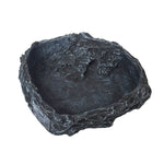 Little Red Food Bowl Reptile Water Food Basin Turtle Lizard Snake Water Basin - Trustpick