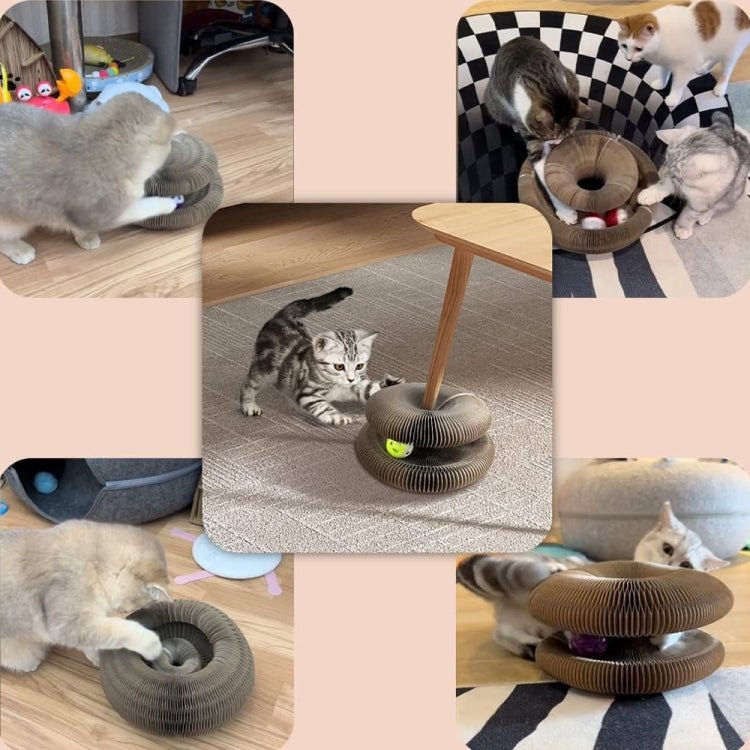 LM1012 Organ Cat Scratching Board Cat Toys With Bell - Trustpick