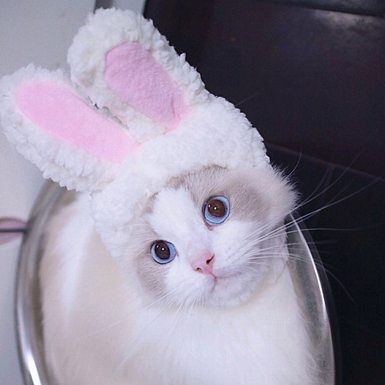 Lovely Rabbit Ear Cat Pet Headgear Headwear - Trustpick