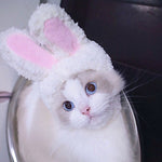 Lovely Rabbit Ear Cat Pet Headgear Headwear - Trustpick