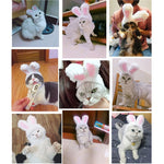 Lovely Rabbit Ear Cat Pet Headgear Headwear - Trustpick