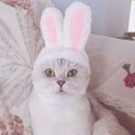 Lovely Rabbit Ear Cat Pet Headgear Headwear - Trustpick