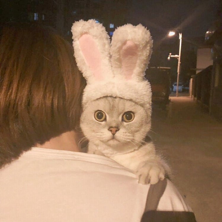 Lovely Rabbit Ear Cat Pet Headgear Headwear - Trustpick