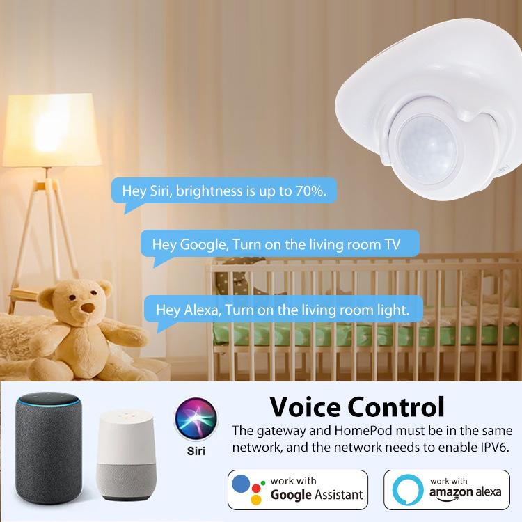 Matter Thread USB - C Power PIR Motion Sensor Smart Home System Compatible With Tuya App Remote Control - Trustpick