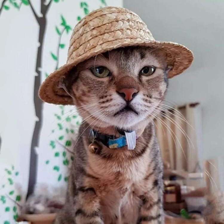 Mini Pet Straw Hat Cat Dog Birthday Party Sun Visor Hat - Trustpick