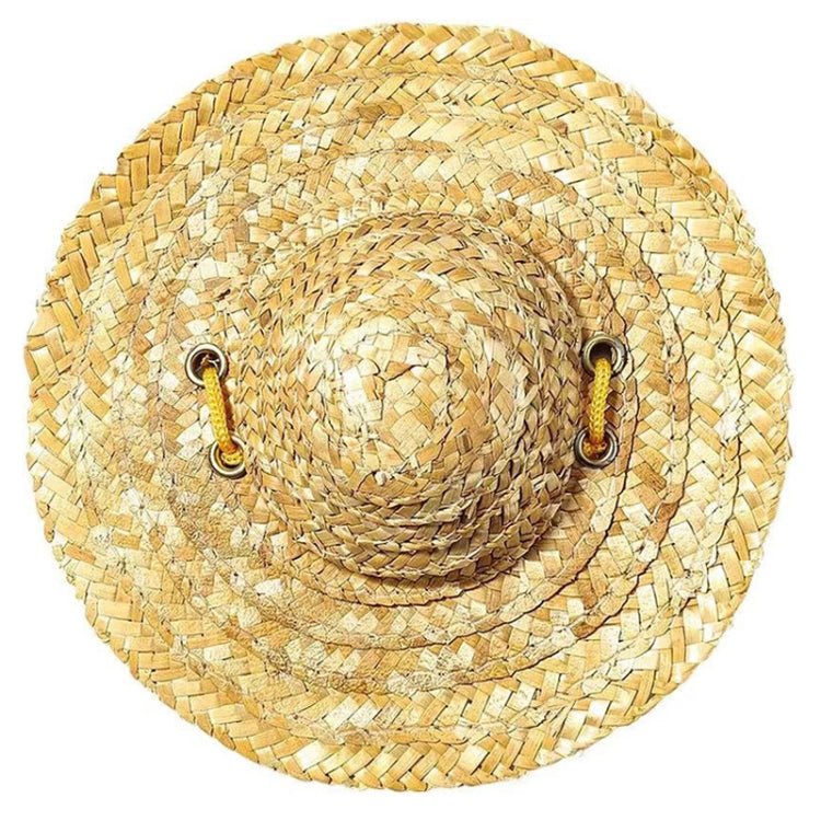 Mini Pet Straw Hat Cat Dog Birthday Party Sun Visor Hat - Trustpick