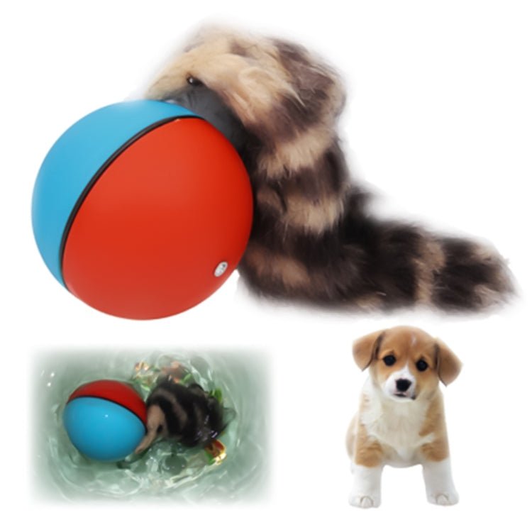 Motorized Rolling Chaser Ball Toy for Dog / Cat / Pet / Kid, Random Color Delivery - Trustpick