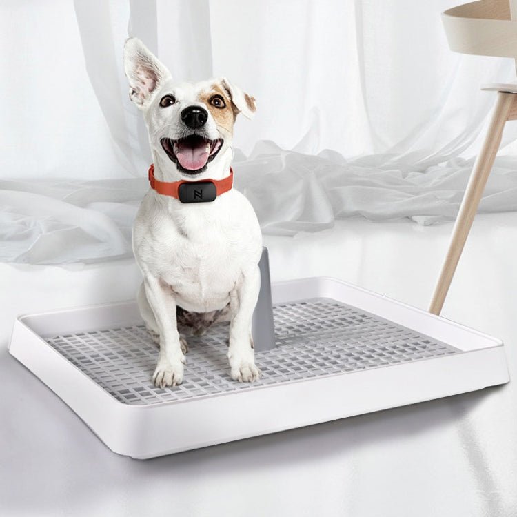 Open Type Pet Dog Toilet Potty Pet Supplies - Trustpick