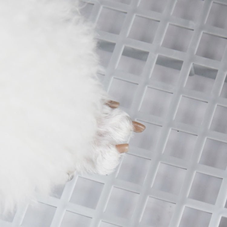 Open Type Pet Dog Toilet Potty Pet Supplies - Trustpick