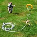 Outdoor Pet Leash Stainless Steel Ground Nail Fixing Bolt, Specification： - Trustpick